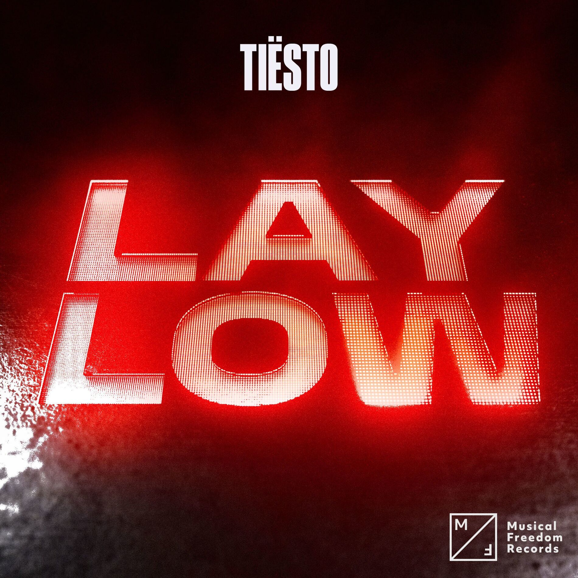 Album cover of Lay Low