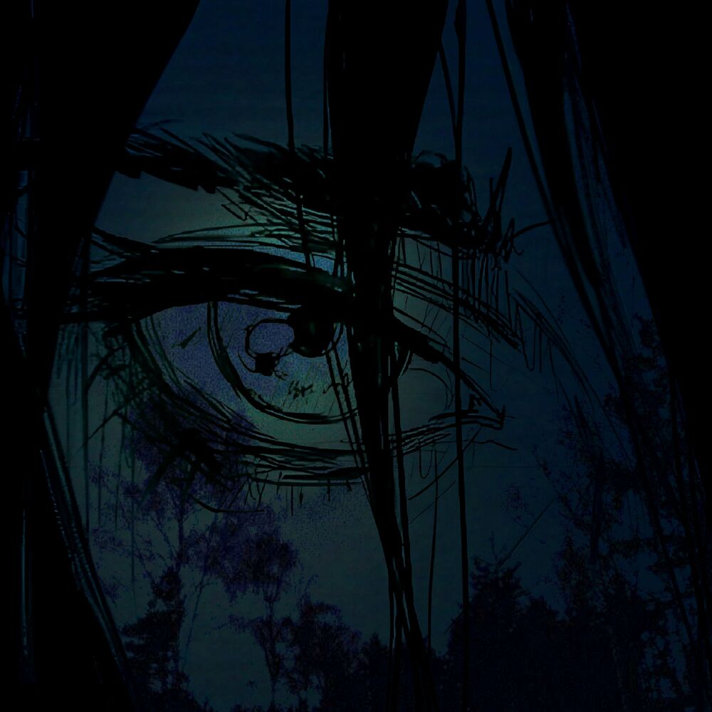 Picture of blank look