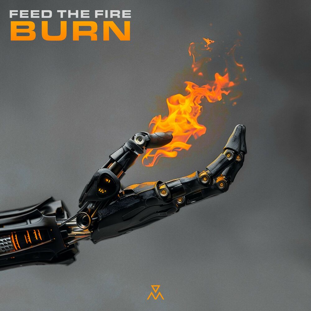 Picture of Burn