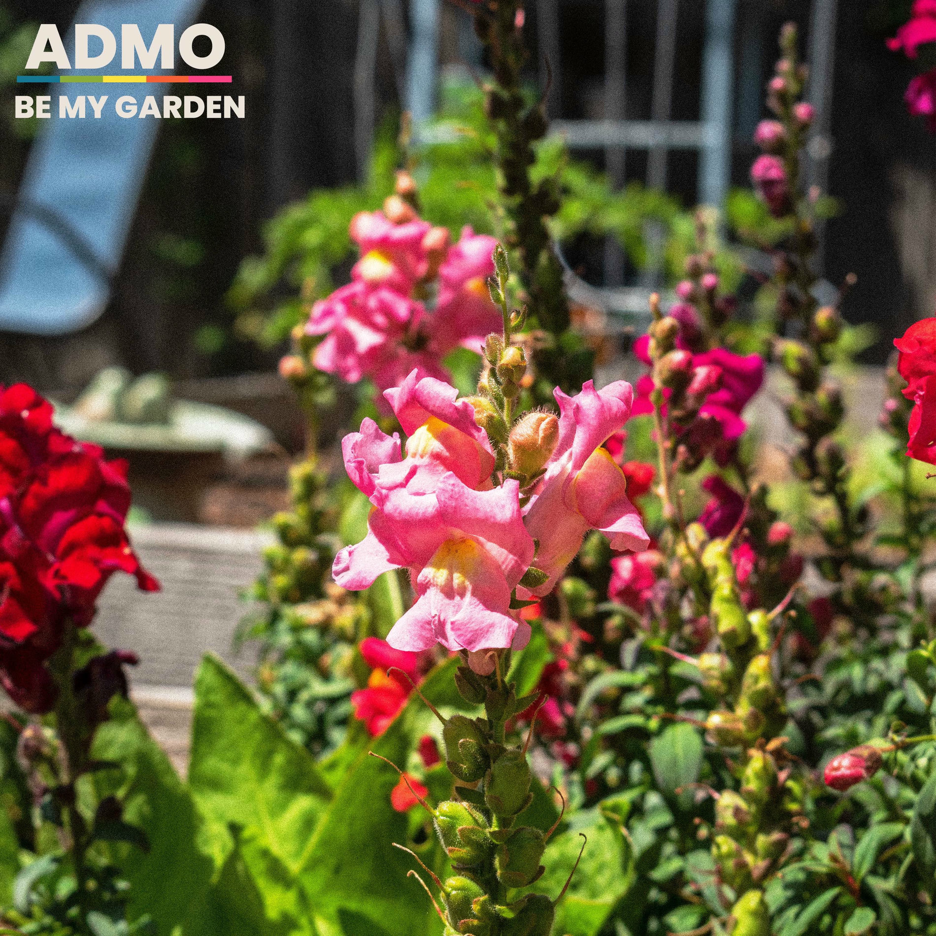 Album cover of Be My Garden