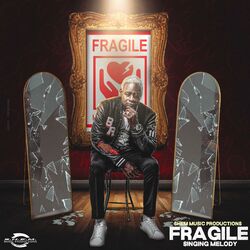 Cover of Fragile