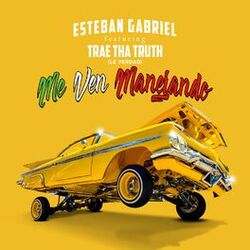 Cover of Me Ven Manejando