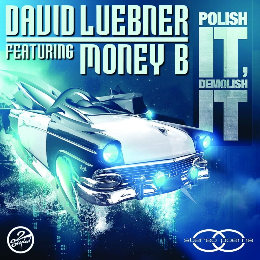 Picture of Polish It, Demolish It