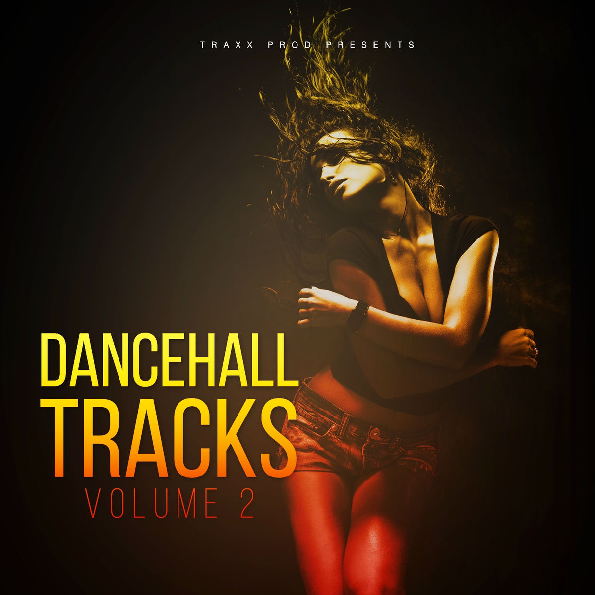 Album cover of Dancehall Tracks, Vol. 2