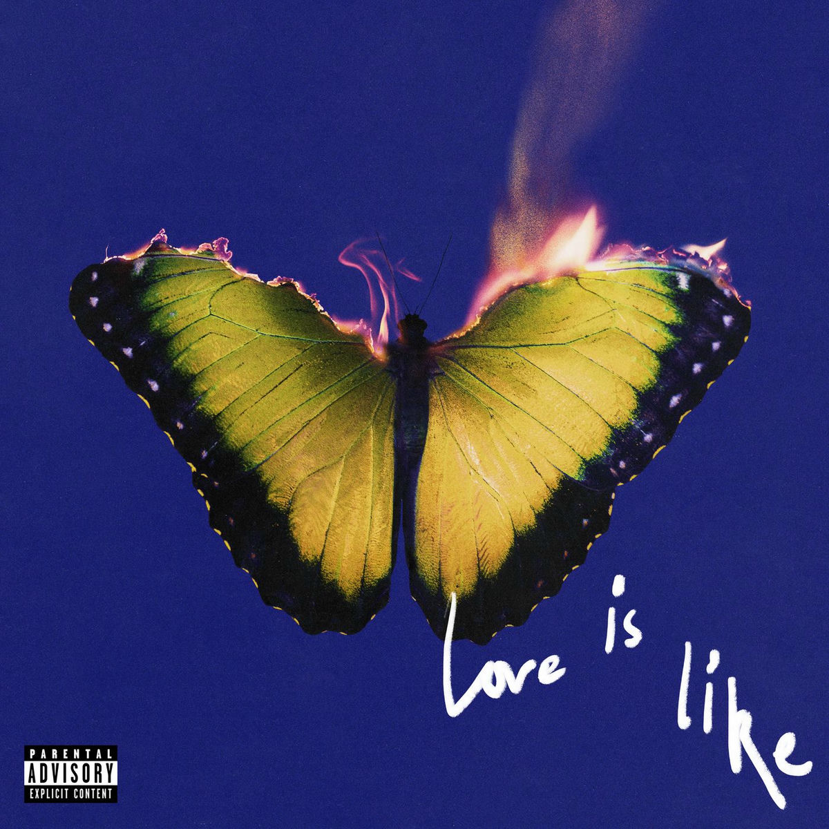 Album cover of California