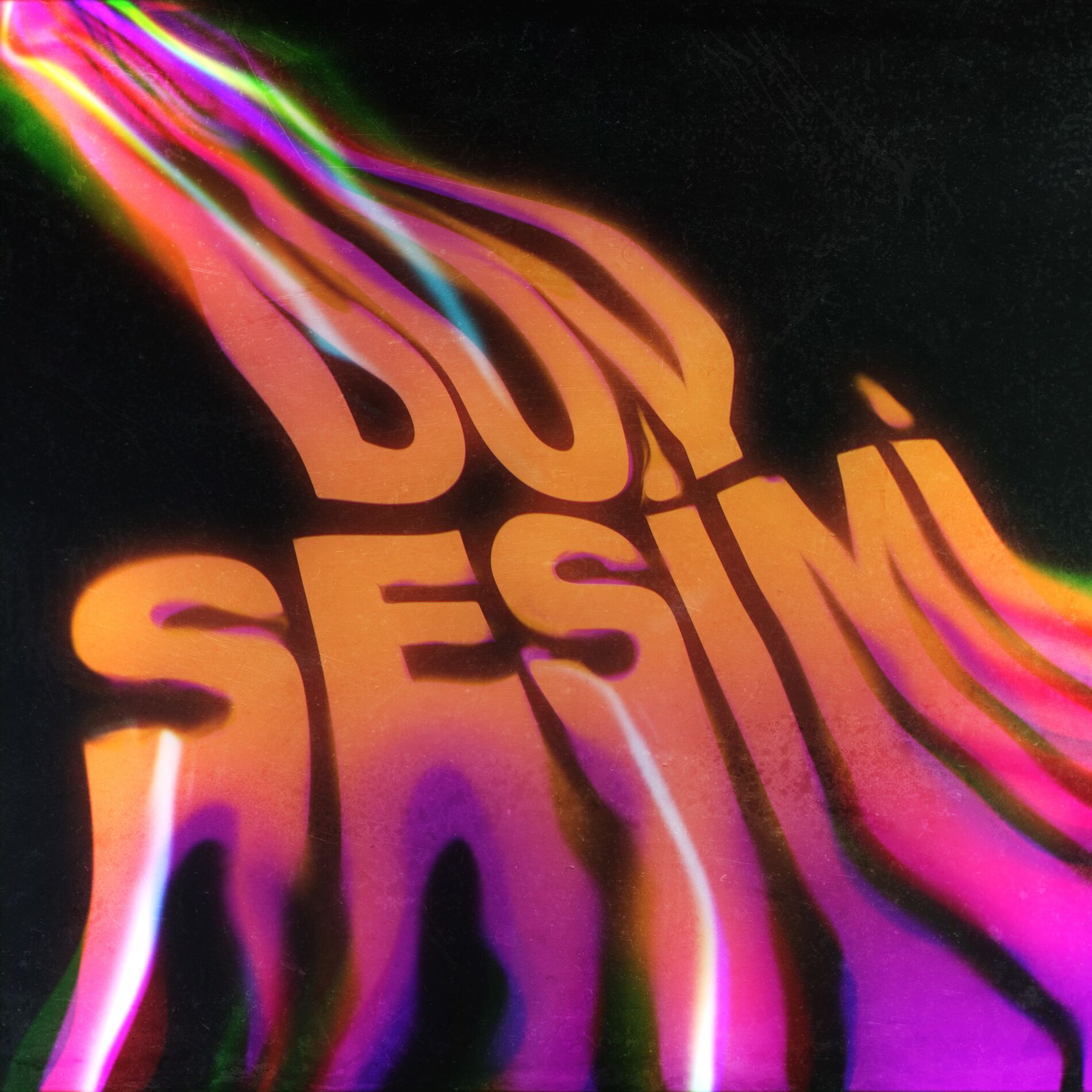 Album cover of Duy Sesimi