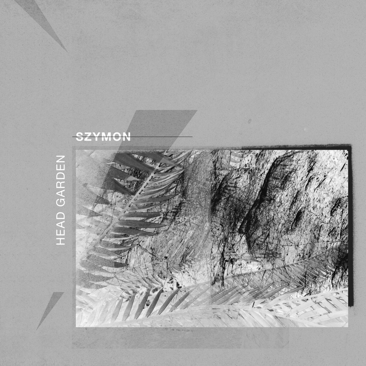 Album cover of Head Garden
