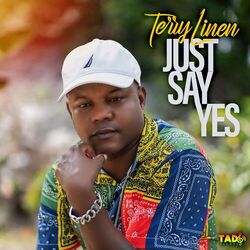 Cover of Just Say Yes