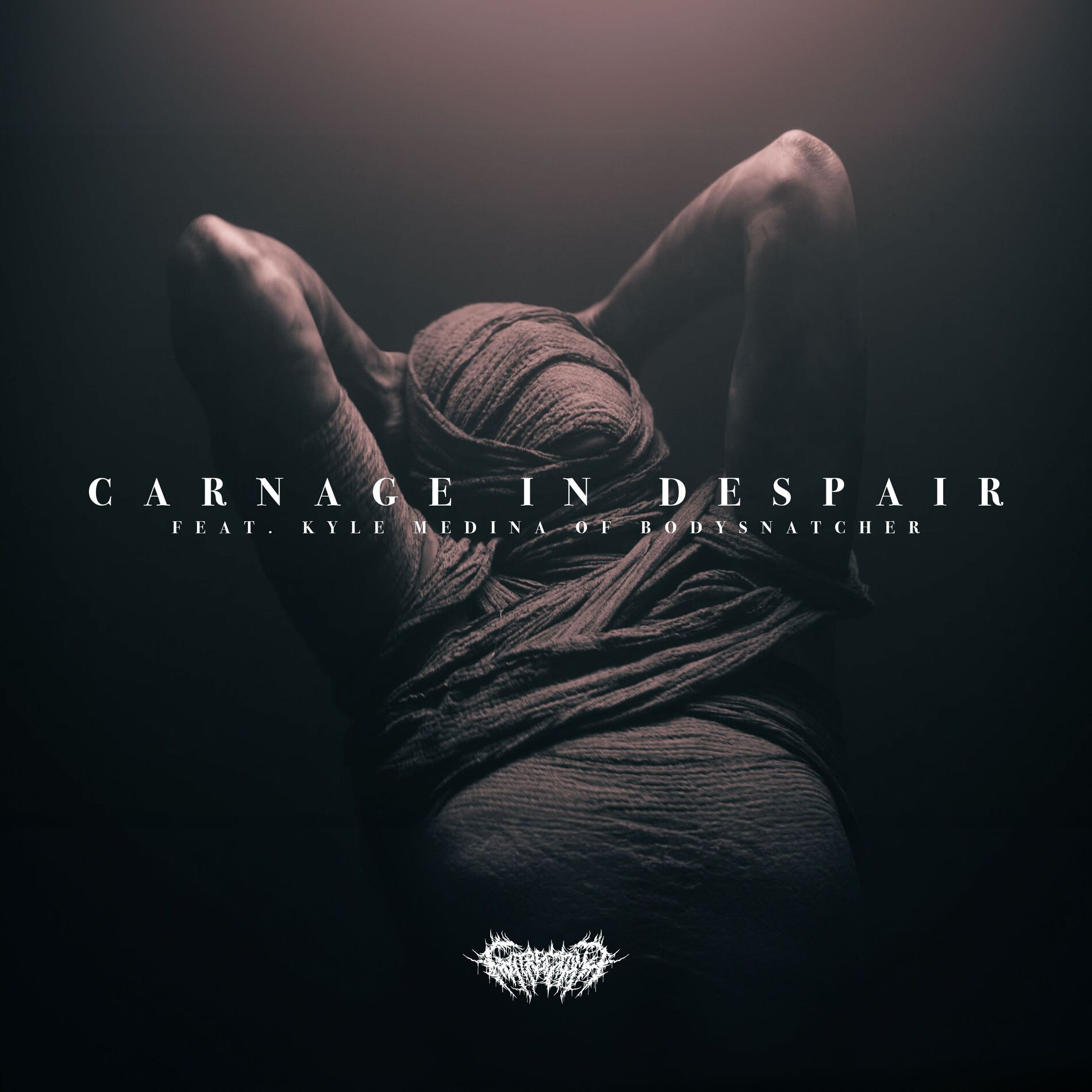 Album cover of Carnage in Despair