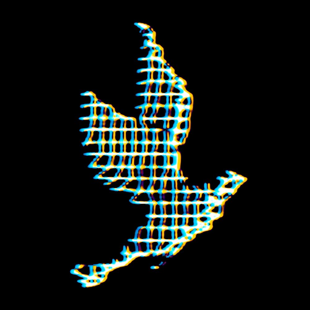 Picture of Birdcage Variations