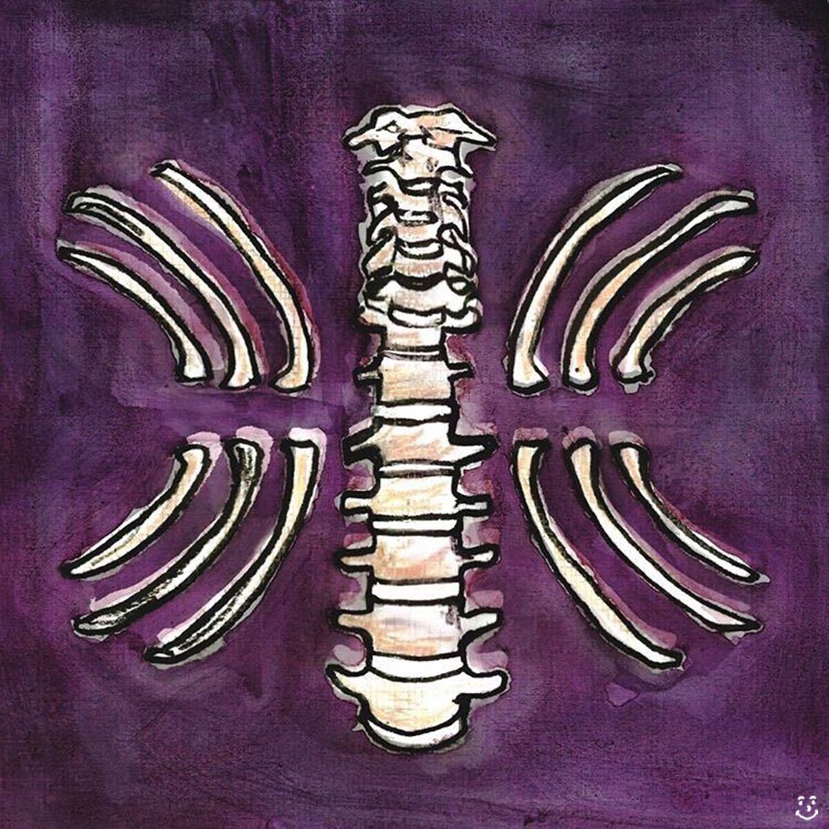 Album cover of Vertebrae
