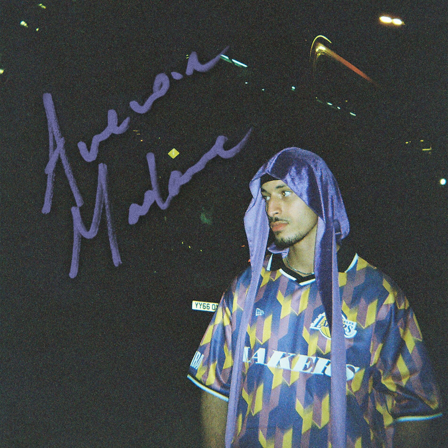 Album cover of AU REVOIR MADAME