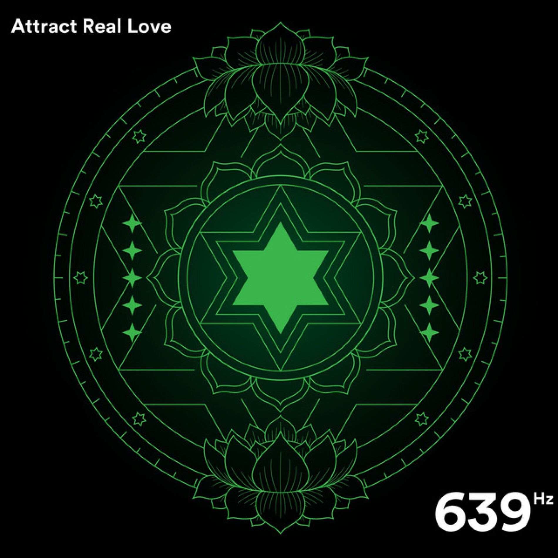 Album cover of Attract Real Love