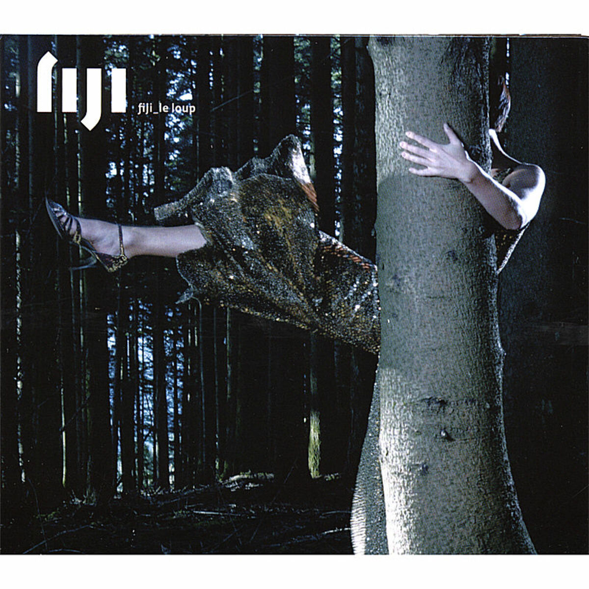 Album cover of Le Loup