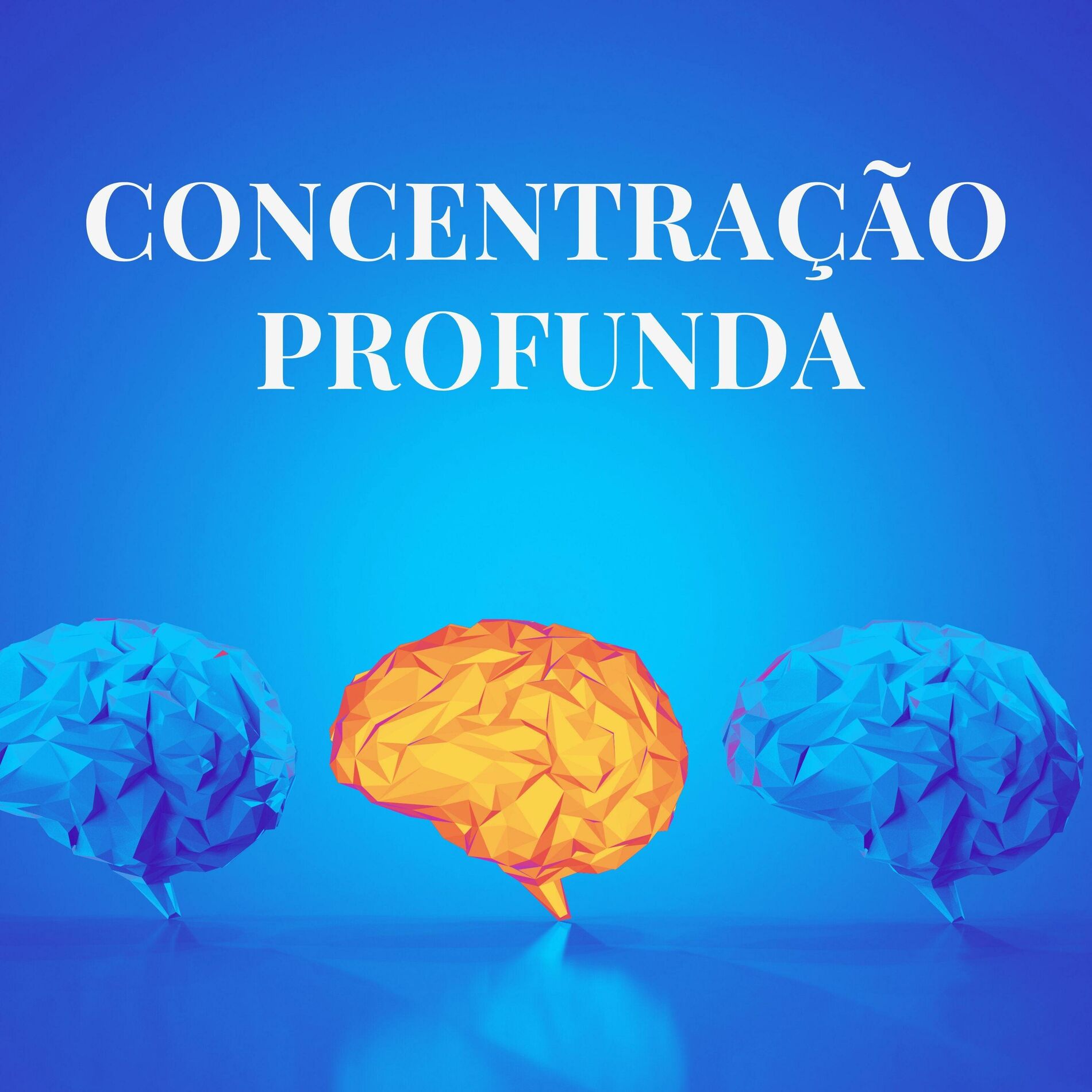 Album cover of Concentração Pura