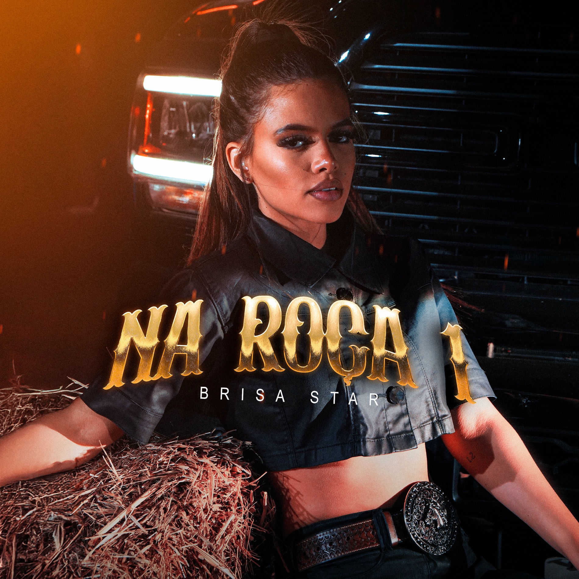 Album cover of Na Roça 1
