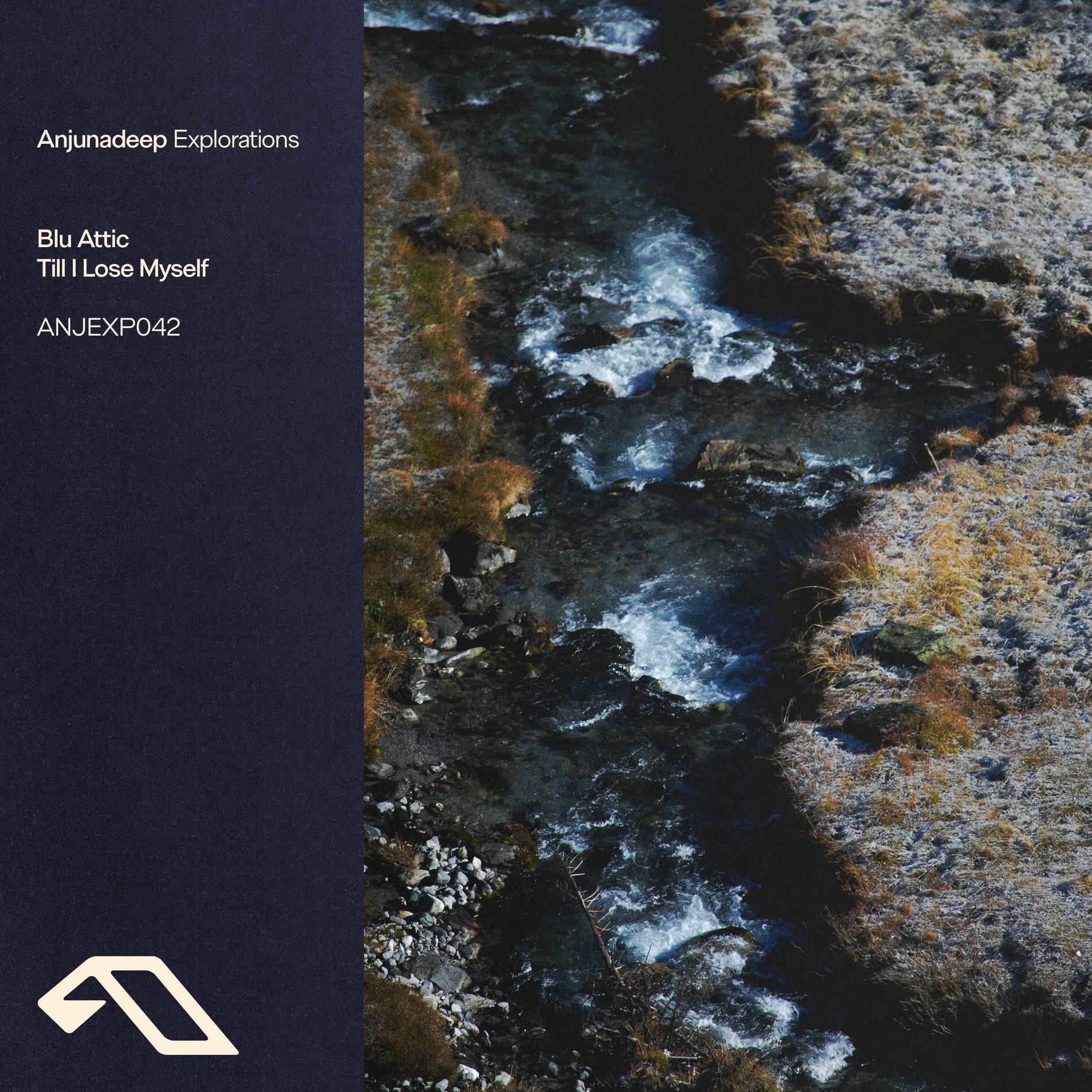 Album cover of Till I Lose Myself