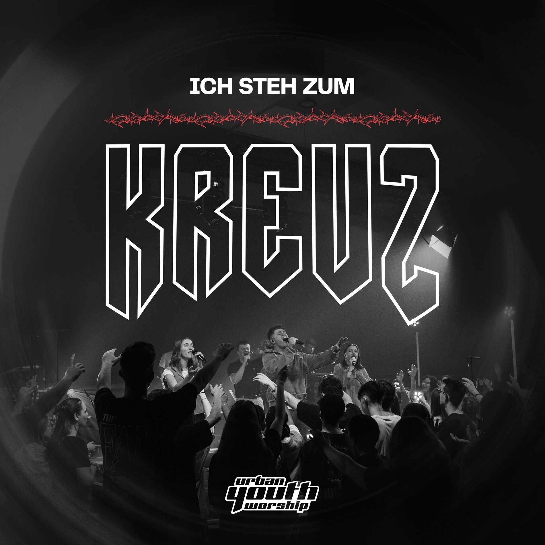 Album cover of Du & Ich (Live)