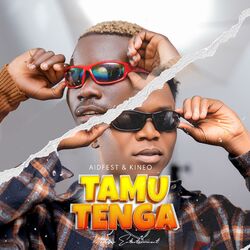 Cover of TAMUTENGA