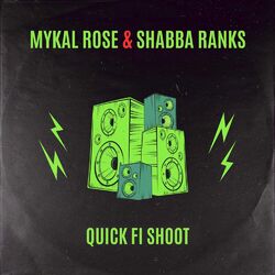 Cover of Quick Fi Shoot
