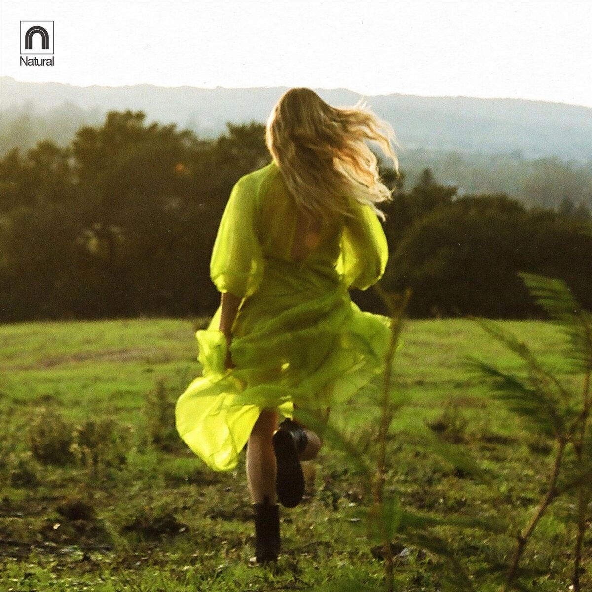Album cover of Young on the Mountain