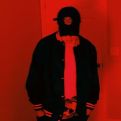 Cover of CAN'T FOLD