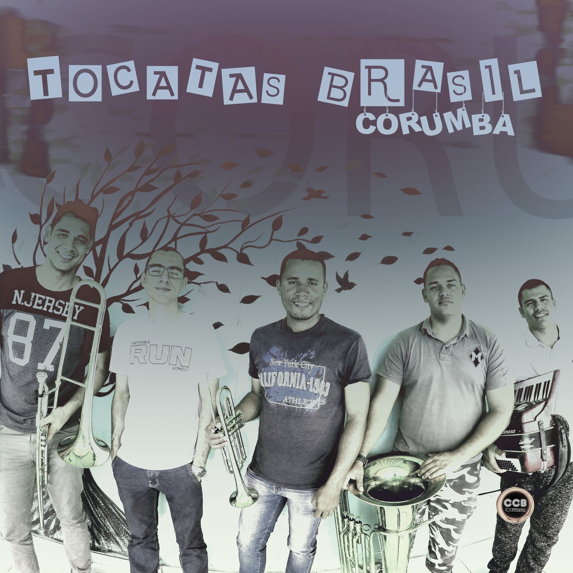 Album cover of Sou a Videira