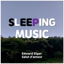 Cover of Sleeping music for deep sleeping / lullaby for babies to go to sleep
