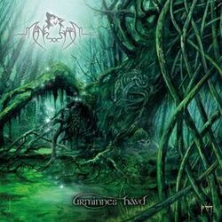 Cover of Urminnes hävd - The Forest Sessions