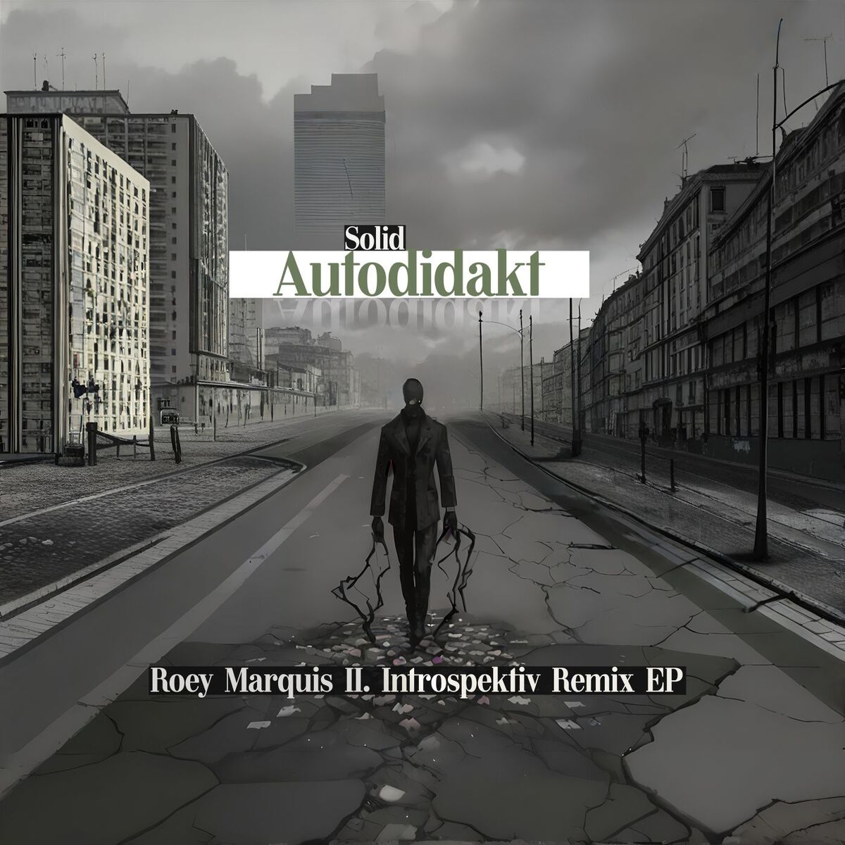 Album cover of Autodidakt (Roey Marquis II. Introspektiv Remix)