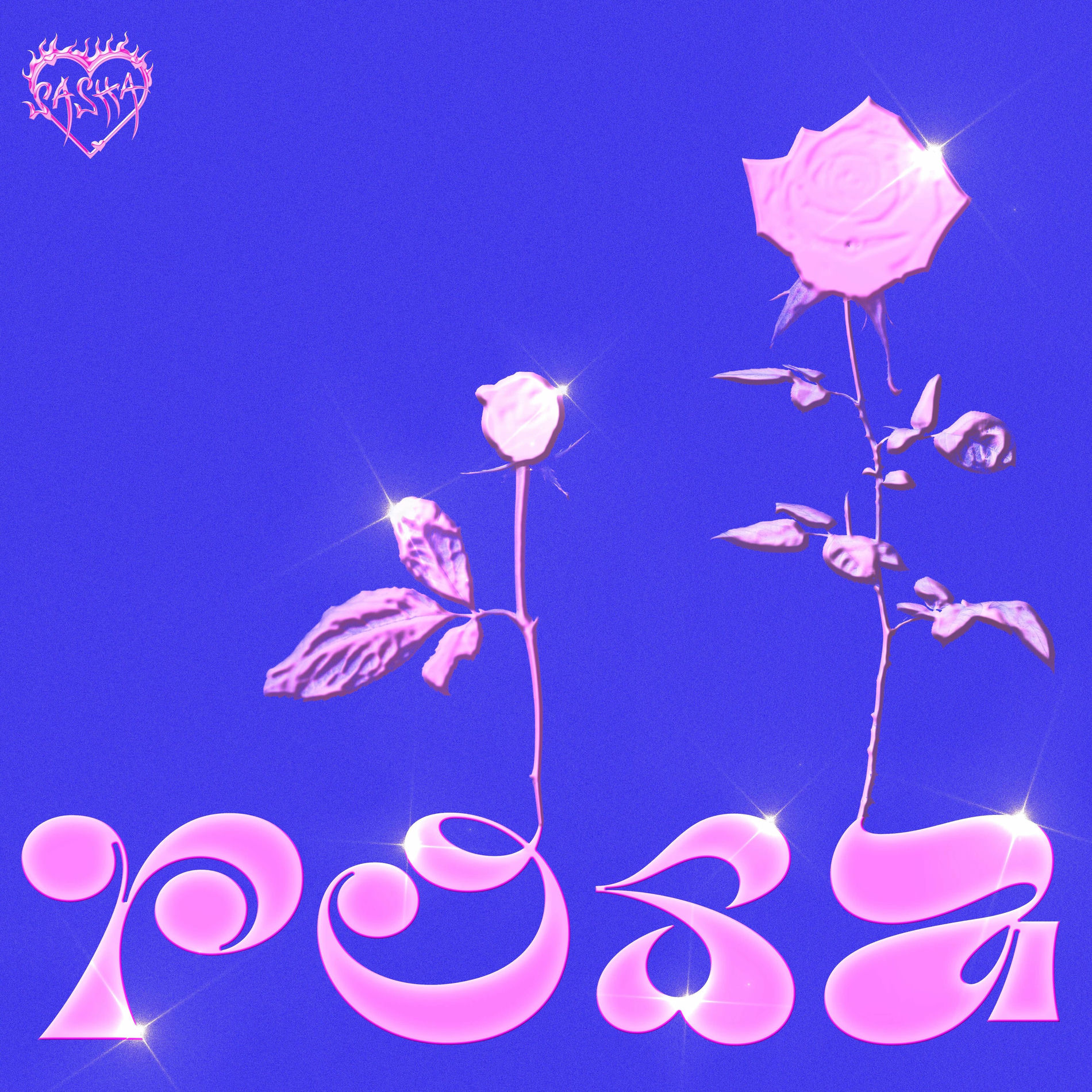 Album cover of Rosa