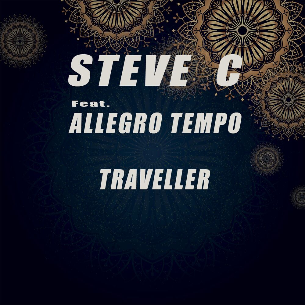Picture of Traveller
