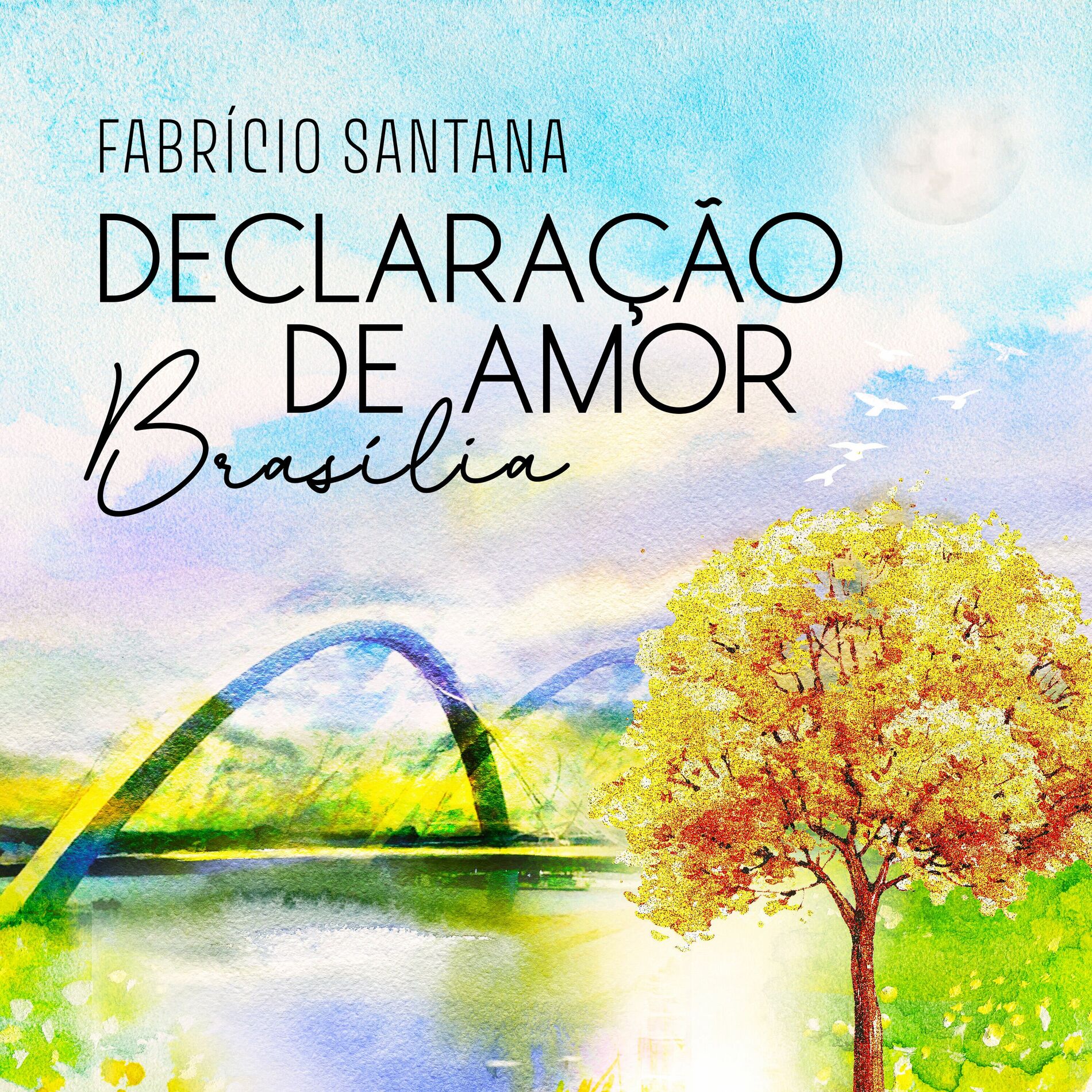 Album cover of Declaração de Amor