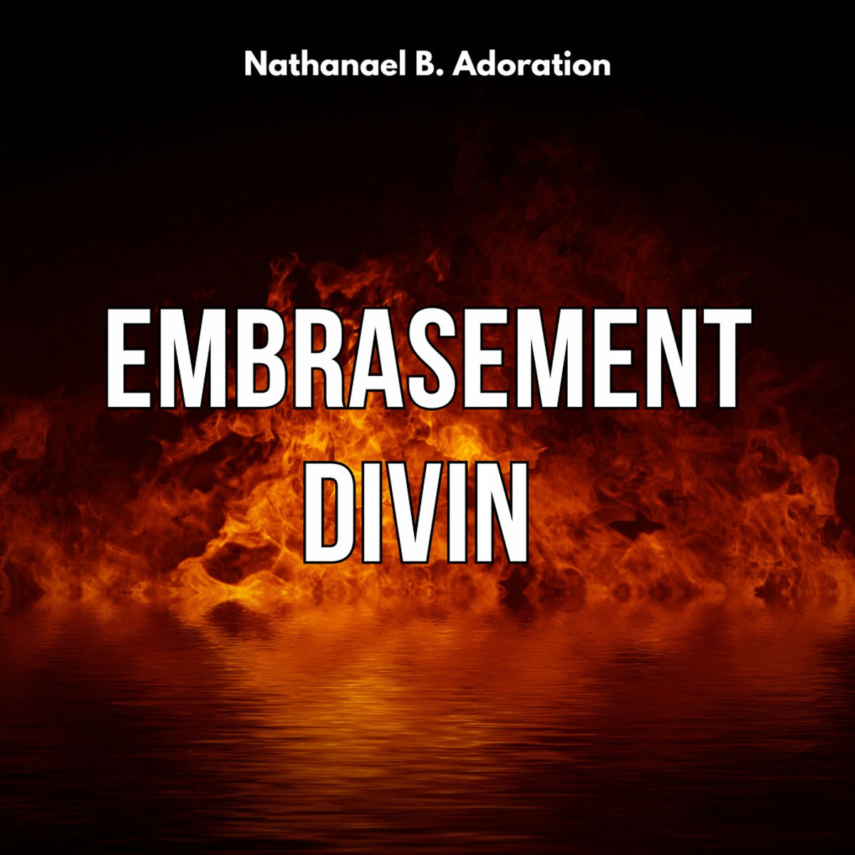 Album cover of Embrasement Divin