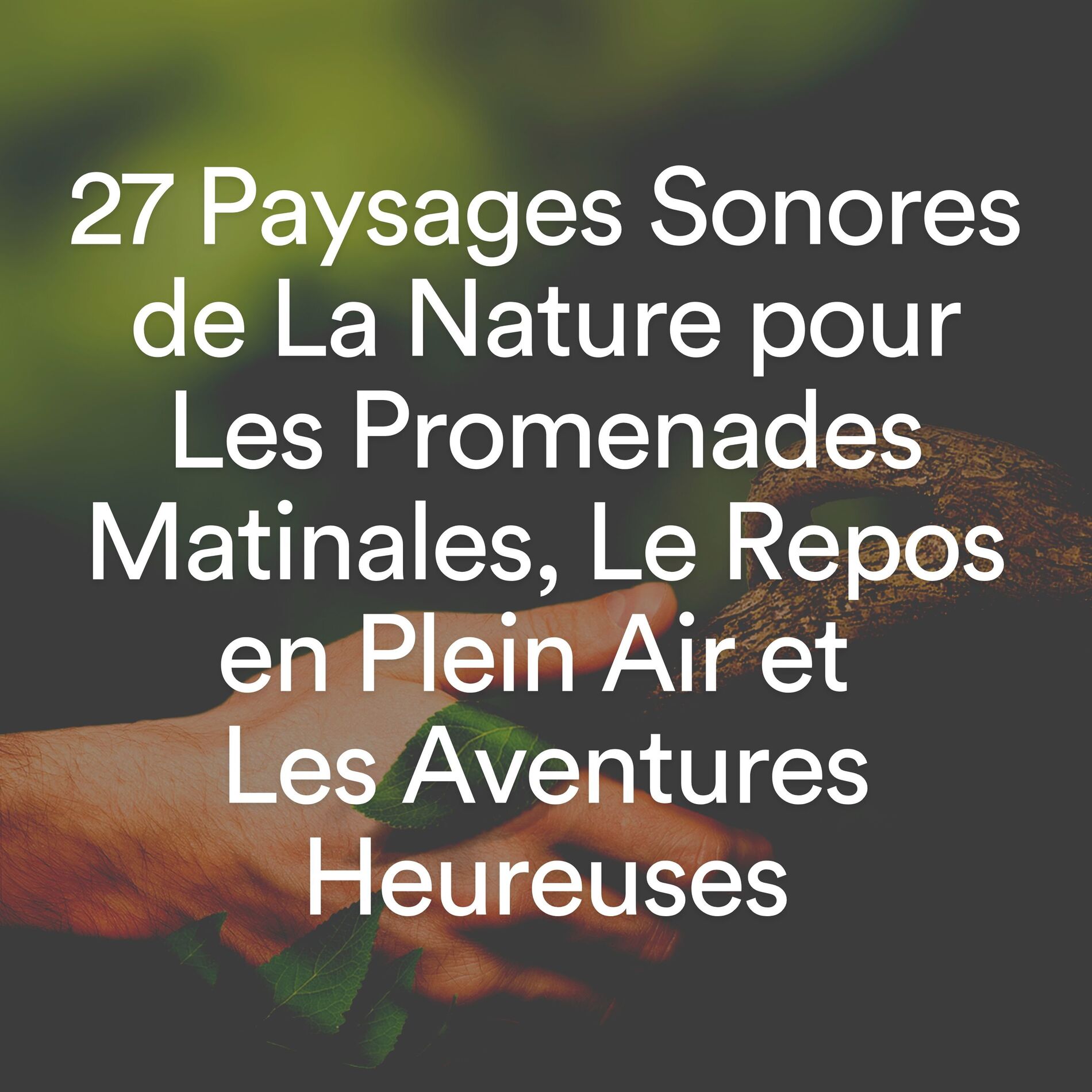 Album cover of 27 Paysages Sonores de La Nature pour Les Promenades Matinales, Le Repos en Plein Air et Les Aventures Heureuses