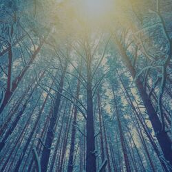 Cover of Escape