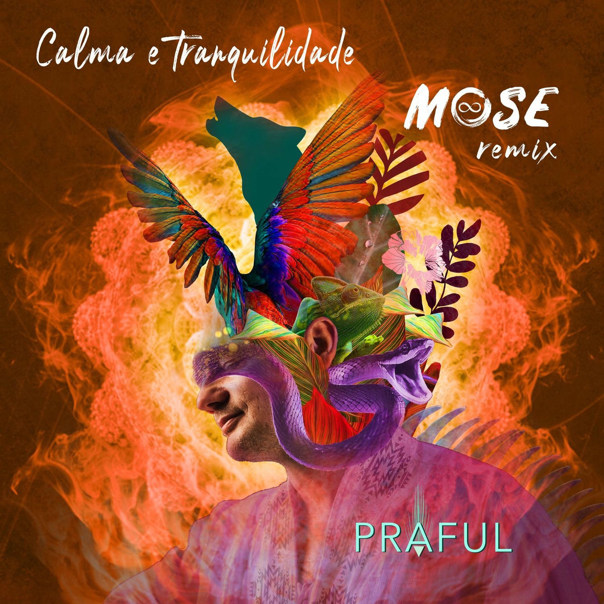 Album cover of Calma e Tranquilidade