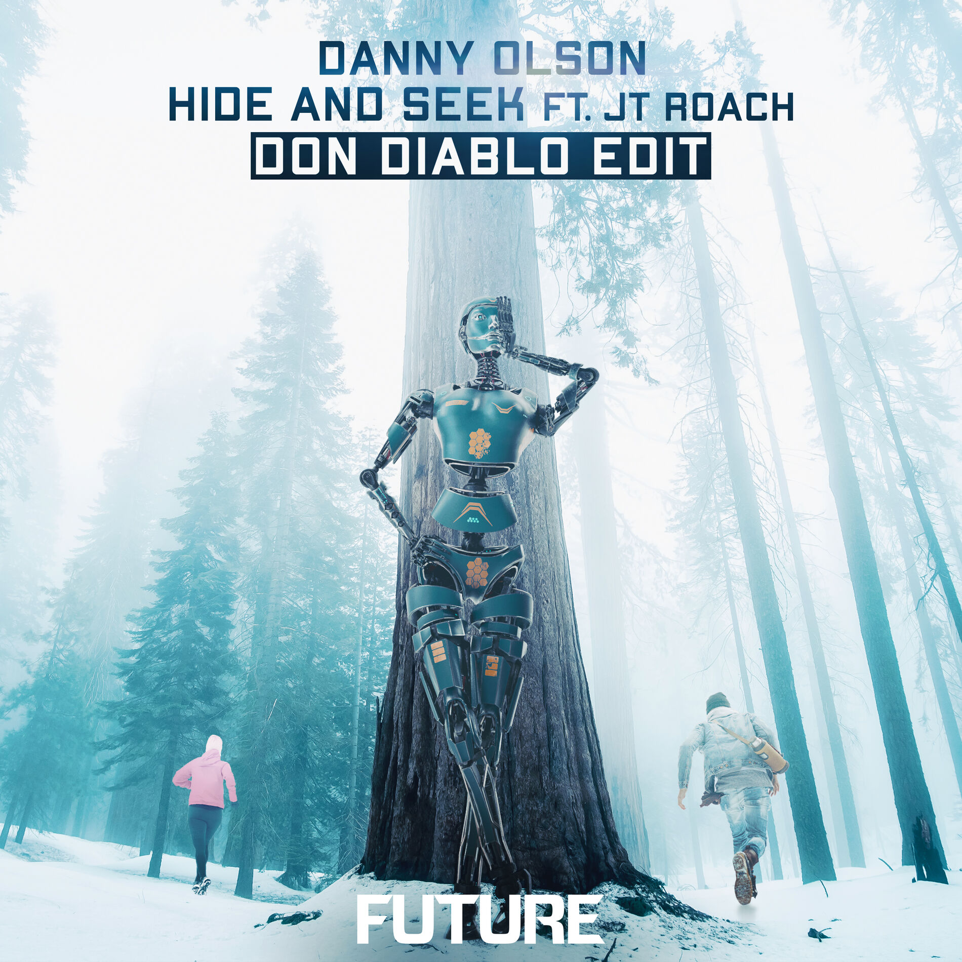 Album cover of Hide and Seek