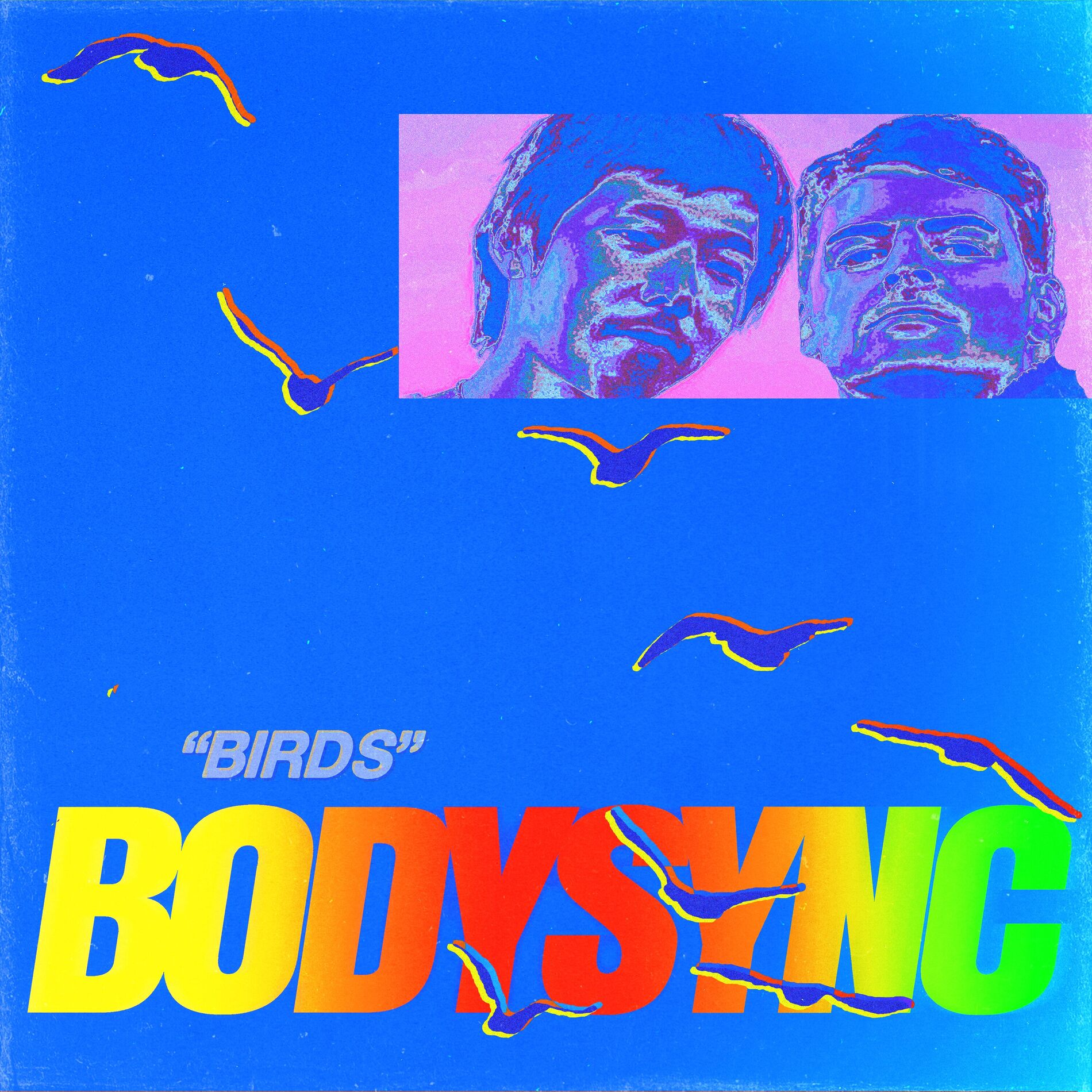 Album cover of Birds