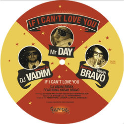 Cover of If I Can Love You