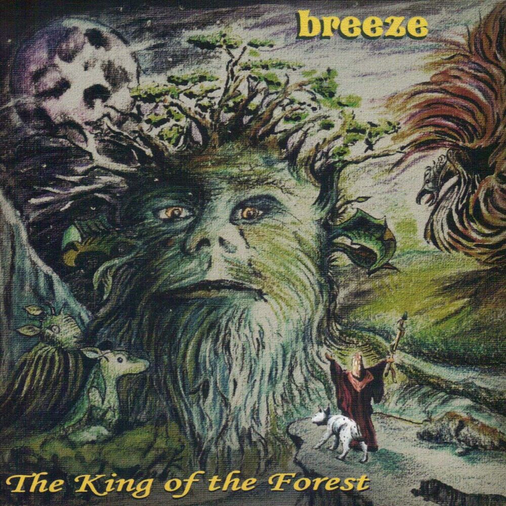 Picture of The King of the Forest