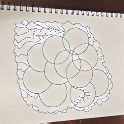 Cover of Cartesian