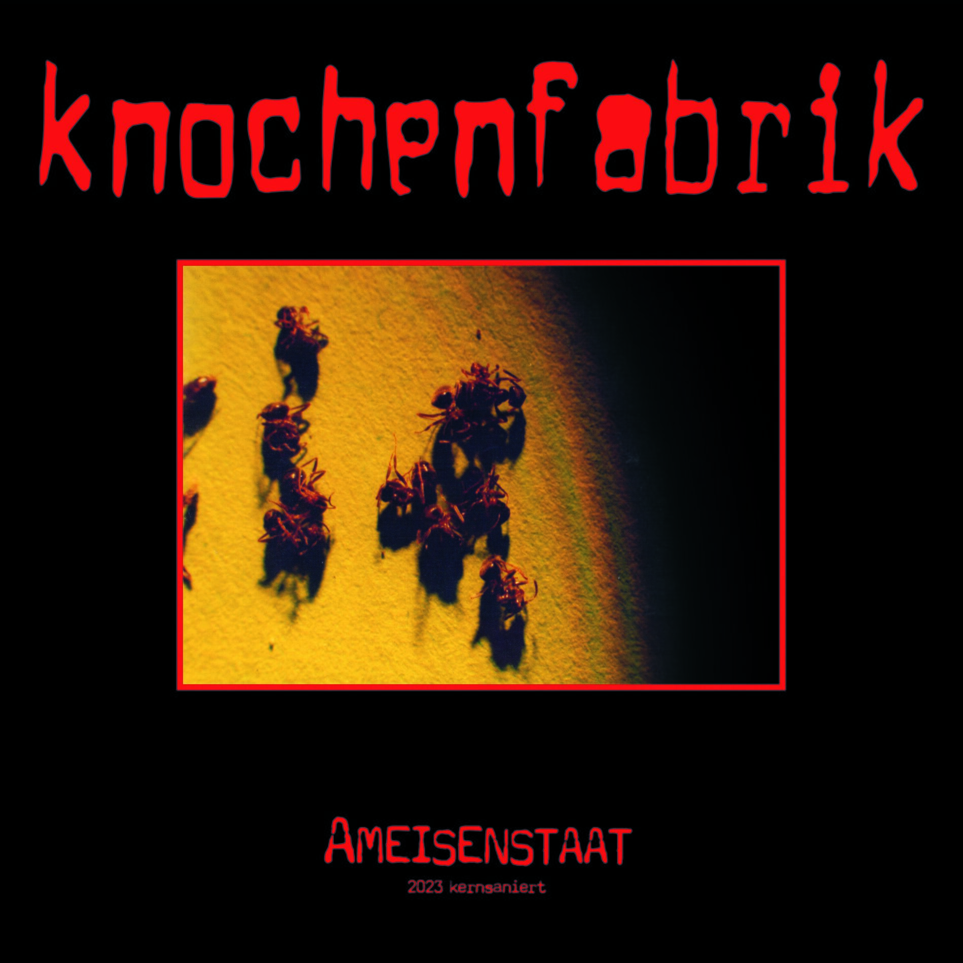 Album cover of Ameisenstaat (2023 kernsaniert)
