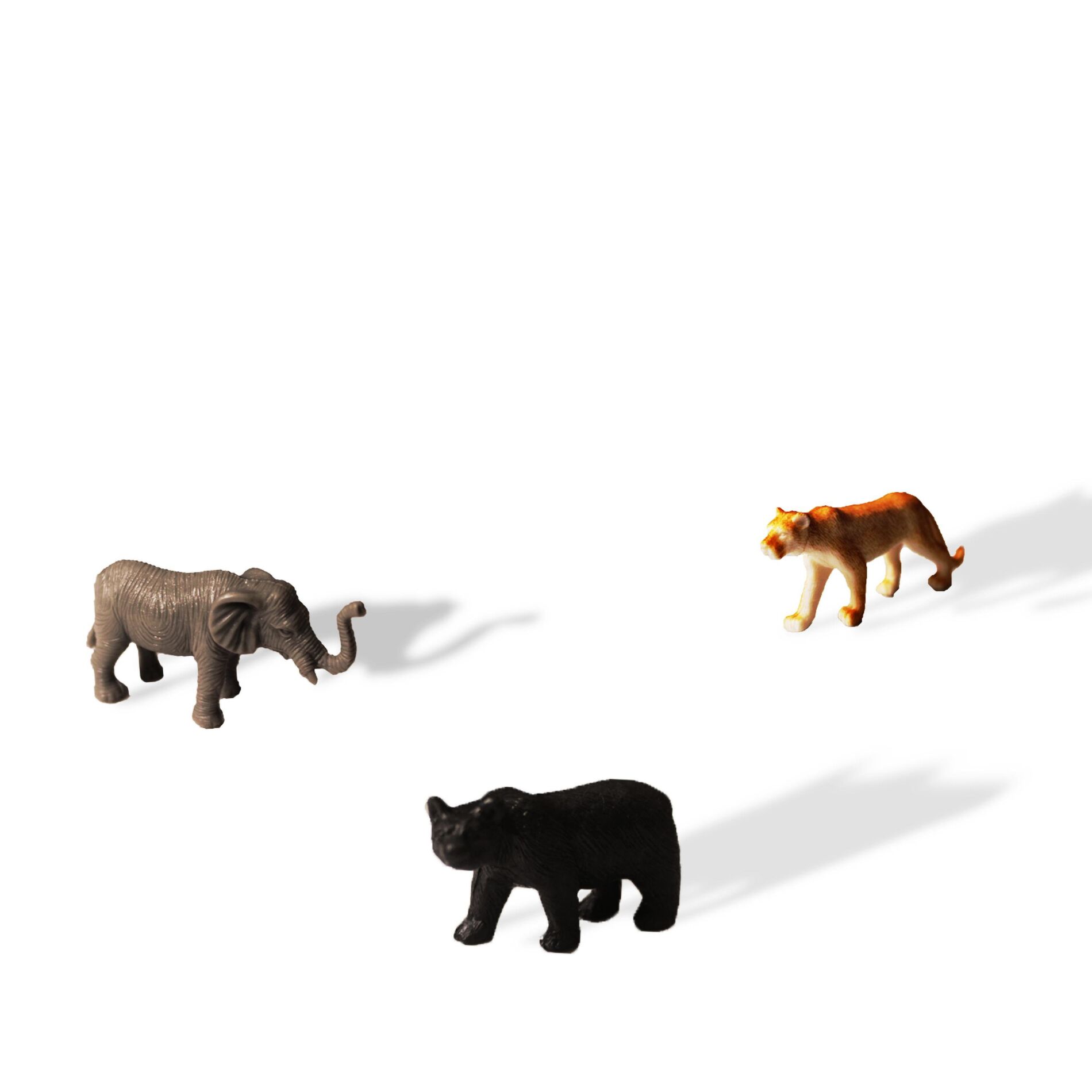 Album cover of zoo (feat. notnevi & gao the arsonist)