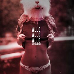 Cover of Allo allo allo