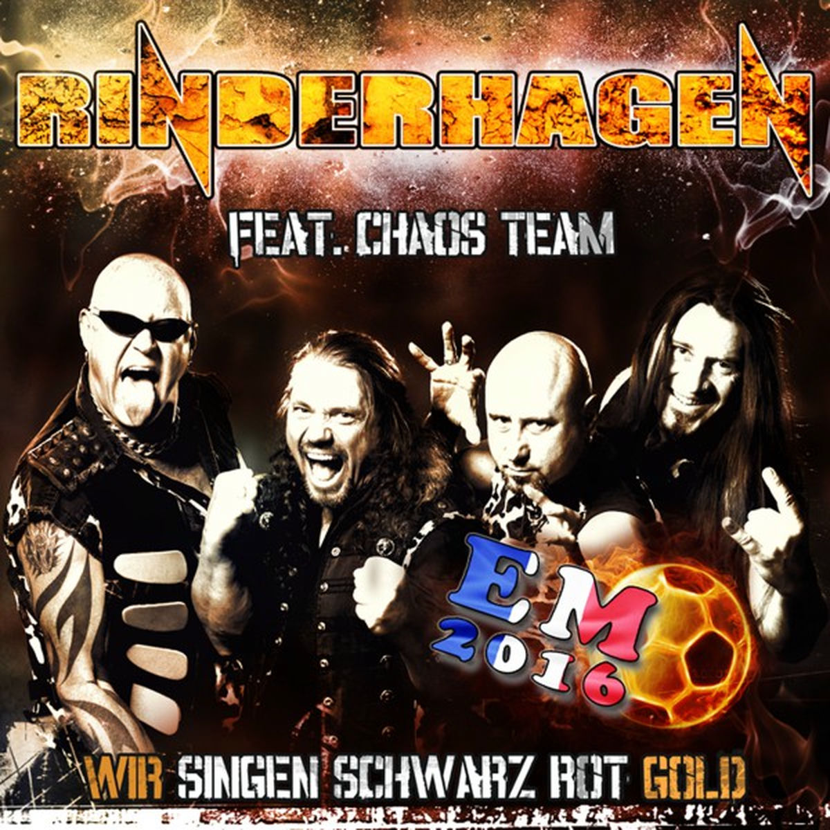 Album cover of Wir singen schwarz, rot, gold (EM 2016)