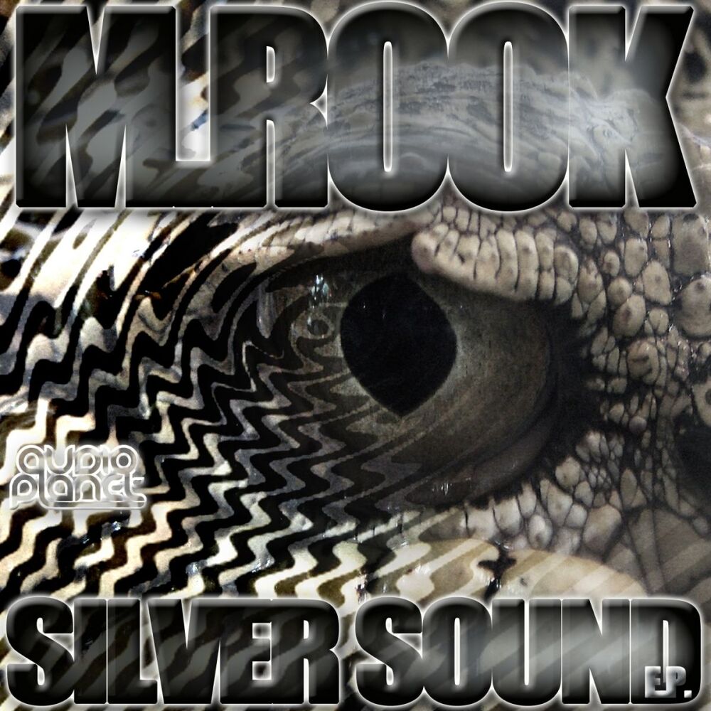 Picture of Silver Sound EP