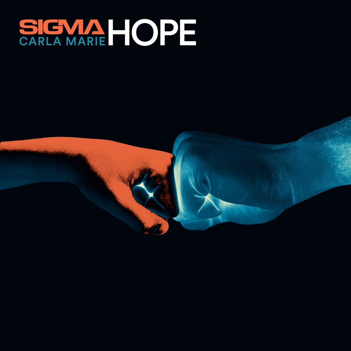 Album cover of Hope