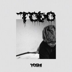 music cover