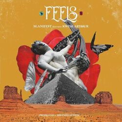 Cover of Feels